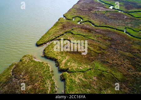 Europa, Nederlands, Saeftinghe marsch Stockfoto