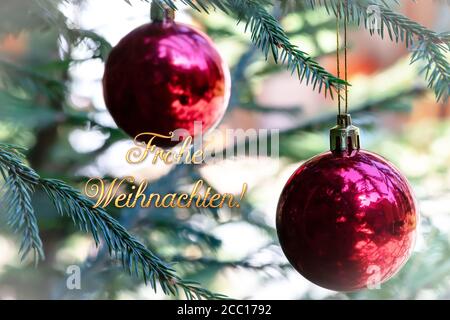 deutsche Wörter frohe weihnachten, was fröhliche weihnachten bedeutet, rote Weihnachtskugeln mit Spiegelung schmücken die grünen Zweige des Weihnachtsbaums. Stockfoto