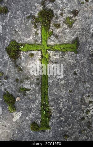 Frankreich, Paris, 75, 14. Arrondissement, Friedhof Montparnasse, Moos in der Mulde eines Kruzifixes auf einem Grabstein eingraviert. Stockfoto