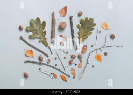 Herbst flach Dekoration Draufsicht mit Blätter und Zweige, abstrakte minimale Zusammensetzung Stockfoto