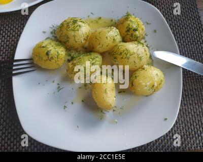 Auf einem weißen Teller ist eine frisch gekochte junge Kartoffel, mit Öl bestreut und mit Dill bestreut. Stockfoto