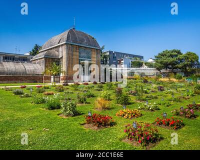 Holzjalousien decken die Fenster des Palmarium im Jardin des Plantes - Nantes, Loire-Atlantique, Frankreich. Stockfoto