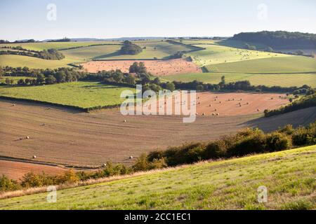 französische Landschaft in der Nähe von Calais in Parc regional de Caps et marais im Norden frankreichs Stockfoto