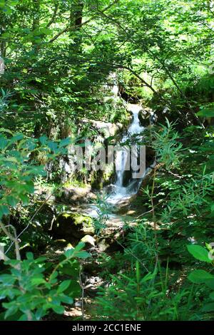 Kleiner versteckter Wasserfall in Tirol, Österreich Stockfoto