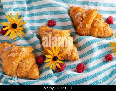 Lecker frisch drei Croissants mit Himbeeren, Blick von oben Stockfoto