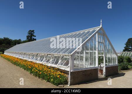 Gewächshaus in Audley End House Bio-Küche Garten Essex Stockfoto