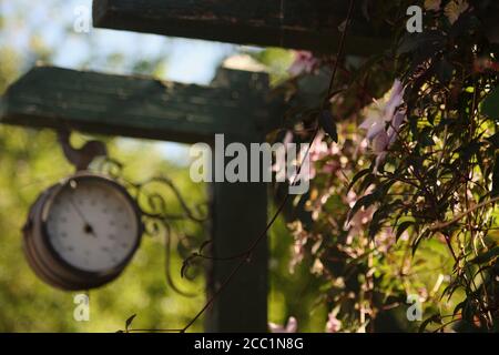 Alte Gartenuhr und Barometer von exquisiter Verarbeitung, an einem Holzpfosten befestigt, der mit kletternden blühenden Clematis-Pflanzen bedeckt ist. Stockfoto