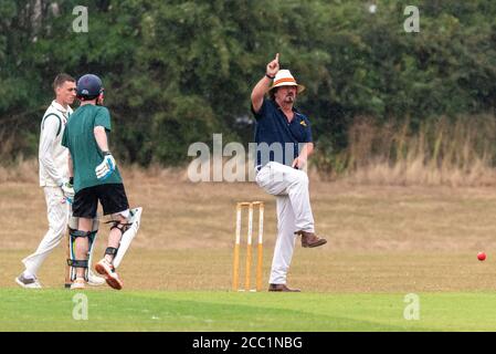 Ein Schiedsrichter, der bei einem Charity-Cricket-Spiel im Southchurch Park, Southend on Sea, Essex, Großbritannien, einen Abschied signalisiert. Batsman und Wicket. Ein Durchlauf Stockfoto