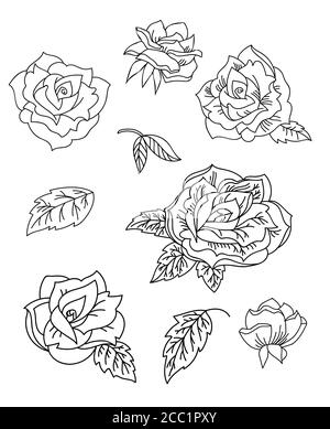 Blumendesign botanischen Set mit gezeichnet Linie Kunst Rose Blumen und Blätter. Vektor monochrome Blumenvorlage Illustration für Hochzeitseinladung, veganes Café, fl Stock Vektor