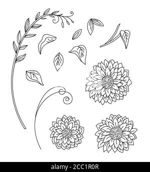 Blumendesign botanischen Set mit gezeichneten Linie Kunst Sonnenblumen Blumen und Blätter. Vektor monochrome floral Vorlage Illustration für Hochzeit Einladung, vegan CAF Stock Vektor