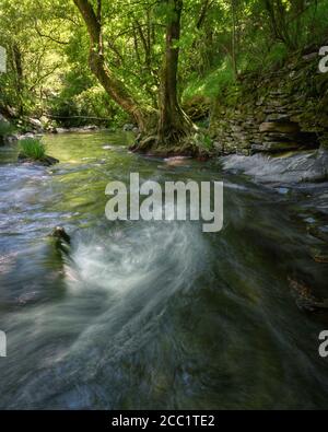 Alte Schieferstein Stützmauer am Ufer eines Fluss in Courel Mountain Geopark Stockfoto