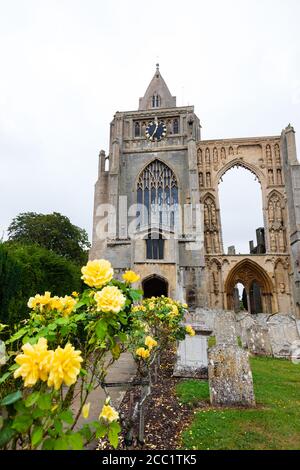 Crowland, Croyland Abbey, Lincolnshire, England Stockfoto