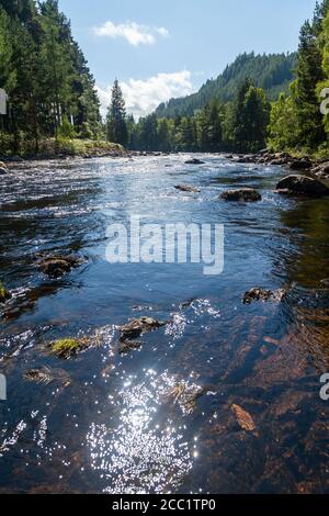 Der Fluss Dee zwischen Ballater und Braemar Aberdeenshire, Schottland Stockfoto