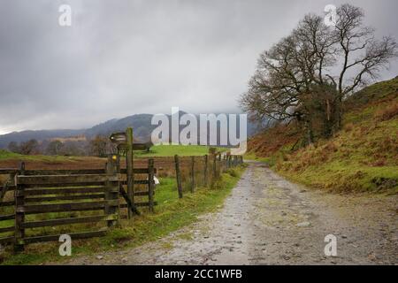 Der Weg von Elterwater nach Little Langdale mit Blick auf Low Fell und Wetherlam im Lake District National Park, Cumbria, England. Stockfoto