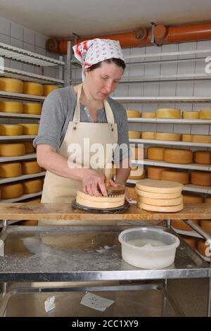 Deutschland, Baden-Württemberg, Mitte Erwachsene Frau Salzwasser auf Käse bestreuen Stockfoto