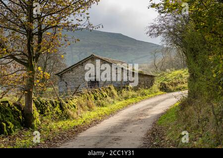 Farmscheune in Deepdale mit Whernside Hügel im Hintergrund Stockfoto