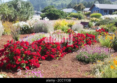 Der Bent E. Petersen Memorial Garden in Yachats, Oregon, USA. Stockfoto