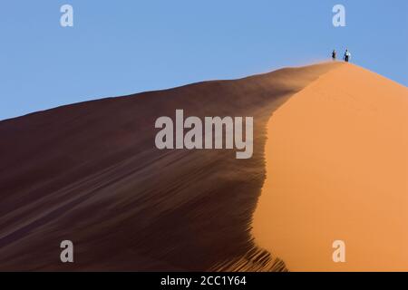 Afrika, Namibia, Sossusvlei, Düne 45, Wüste Stockfoto