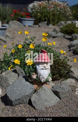 Ein Gnom und Blumen im Bent E. Petersen Memorial Garden in Yachats, Oregon, USA. Stockfoto