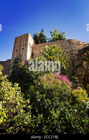 Spanien, Andalusien, Blick auf Alcazaba maurische Festung in Malaga Stockfoto