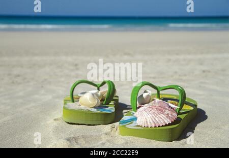 VAE, Dubai, Jumeirah Beach, Muscheln in Badeschuhe Stockfoto