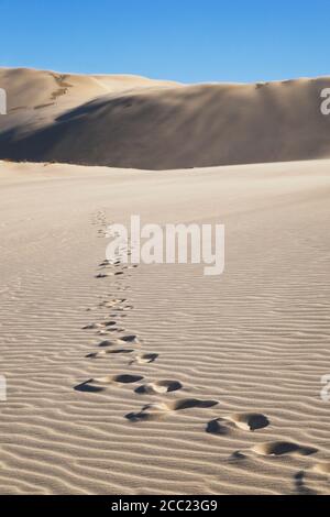 Neuseeland, Fußabdrücke auf Te Paki Sanddünen Stockfoto