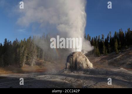 Ansicht von Lone Star Geysir im Yellowstone National Park Stockfoto