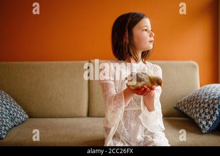 Ein ernsthaftes Kind schaut mit einem zur Seite Kleines Baby Küken in den Händen Stockfoto