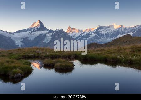 Sonnenaufgang über der Berner Bergkette über dem Bachalpsee. Höchste Gipfel Eiger, Jungfrau und Faulhorn in berühmter Lage. Schweiz alpen, Grindelwald Stockfoto