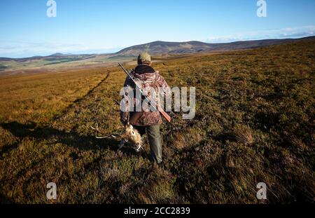 Hunter in den Highlands von Schottland mit einem Gewehr und seine Hirsch Throhie. Der Himmel ist blau, Berge im Hintergrund und grünes Gras. Stockfoto