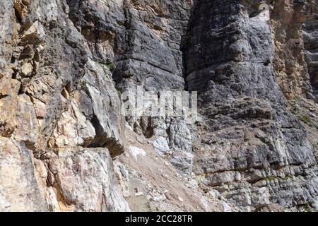 Italien Venetien Dolomiti - Wanderer entlang der Astaldi Aided Weg Stockfoto