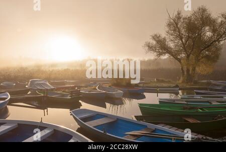 Deutschland, Bayern, Blick auf Nebel auf Boot im Morgengrauen Stockfoto