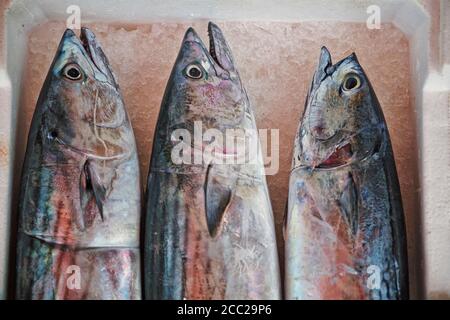 Italien, Apulien, frischen Makerel im Markt Stockfoto