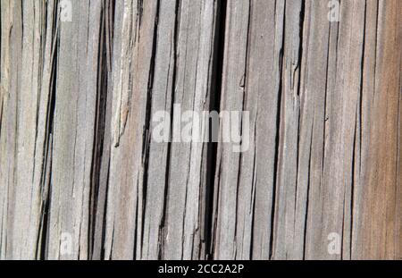 Hintergrund der Holzbretter. Mainboards mit Knoten. Stockfoto