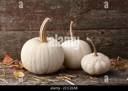 Weiße Kürbisse auf alten Planken Hintergrund, Herbst saisonal Stockfoto