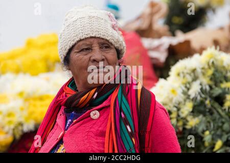 Alte lokale Maya K'Iche Frau, die Blumen am Markttag in der Stadt Chichicastenango, El Quiché, Guatemala, Mittelamerika verkauft Stockfoto