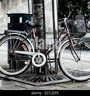 Zweirad-Pushbike schiefen gegen EINEN Baum draußen mit Nein Menschen Stockfoto