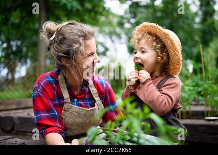 Mutter mit kleiner Tochter im Garten auf dem Bauernhof, Anbau von Bio-Gemüse. Stockfoto