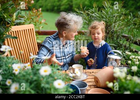 Ältere Großmutter mit kleiner Enkelin Gartenarbeit auf Balkon im Sommer, essen. Stockfoto