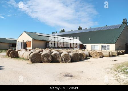 Blick auf eine ländliche Tierfarm mit Heuballen nach der Ernte. Heurollballen auf dem Land. Ende der Sommerzeit. Heustruktur. Heuballen werden in lar gestapelt Stockfoto