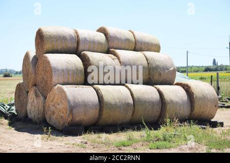 Blick auf eine ländliche Tierfarm mit Heuballen nach der Ernte. Heurollballen auf dem Land. Ende der Sommerzeit. Heustruktur. Heuballen werden in lar gestapelt Stockfoto