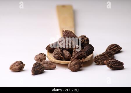 Indische Gewürz - Schwarzer Kardamom ganze Samen in einem Löffel Auf weißem Hintergrund Stockfoto