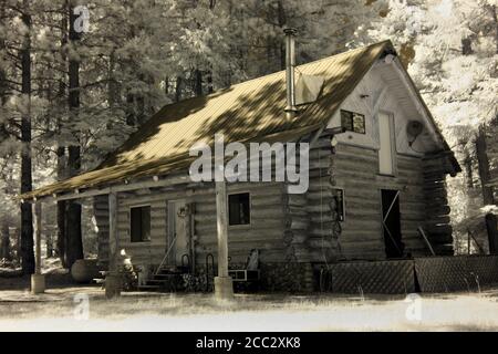 Wunderschöne Blockhütte in einer abgelegenen Waldgegend im Bundesstaat Washington. Infrarotbild. Stockfoto
