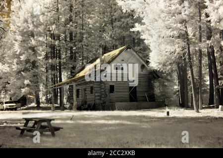 Wunderschöne Blockhütte in einer abgelegenen Waldgegend im Bundesstaat Washington. Infrarotbild. Stockfoto