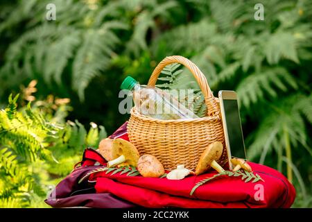 Wenn Sie zum Pilzsammeln gehen, bringen Sie ein aufgeladenes Telefon, eine Wasserflasche und eine warme Jacke mit, falls Sie sich im Wald verlaufen. Stockfoto