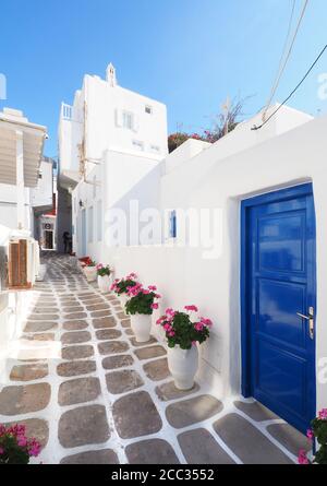 Die White and Blue Buildings und Flower Lined Alley Ways von Mykonos, Griechenland Stockfoto