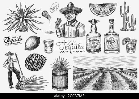 Tequila Flasche, mit Limette, blaue Agave Pflanze, Fass und Wurzel Zutat, Landwirt und Ernte. Handgezeichnete Vintage-Skizze mit Gravur. Holzschnitt Stock Vektor