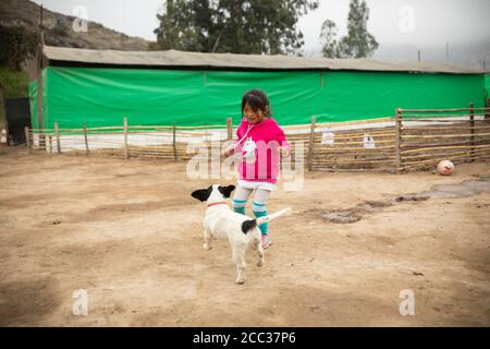 Ein sechsjähriges Mädchen spielt mit ihrem niedlichen Welpen-Hund in ihrem Zuhause im Pachamac District, Peru, Südamerika. Stockfoto