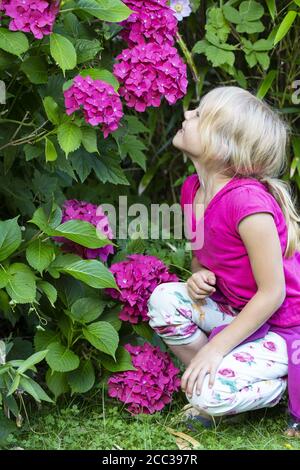 Mädchen (8) im Garten, Kiel, Schleswig-Holstein, Deutschland Stockfoto