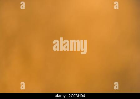 Warme verwackelte Sonnenuntergangsfarben Hintergrund Stockfoto